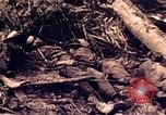 Image of Battle of Tarawa Tarawa Gilbert Islands, 1943, second 58 stock footage video 65675072664