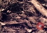 Image of Battle of Tarawa Tarawa Gilbert Islands, 1943, second 59 stock footage video 65675072664