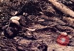 Image of Battle of Tarawa Tarawa Gilbert Islands, 1943, second 60 stock footage video 65675072664