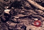 Image of Battle of Tarawa Tarawa Gilbert Islands, 1943, second 61 stock footage video 65675072664
