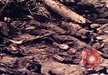 Image of Battle of Tarawa Tarawa Gilbert Islands, 1943, second 62 stock footage video 65675072664