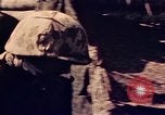 Image of Battle of Tarawa Tarawa Gilbert Islands, 1943, second 8 stock footage video 65675072665