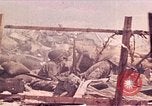 Image of Battle of Tarawa Tarawa Gilbert Islands, 1943, second 1 stock footage video 65675072666