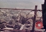 Image of Battle of Tarawa Tarawa Gilbert Islands, 1943, second 3 stock footage video 65675072666