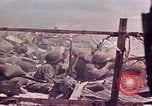 Image of Battle of Tarawa Tarawa Gilbert Islands, 1943, second 5 stock footage video 65675072666