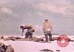 Image of Battle of Tarawa Tarawa Gilbert Islands, 1943, second 7 stock footage video 65675072666