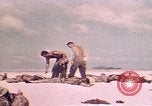 Image of Battle of Tarawa Tarawa Gilbert Islands, 1943, second 10 stock footage video 65675072666