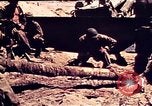 Image of Battle of Tarawa Tarawa Gilbert Islands, 1943, second 48 stock footage video 65675072666