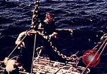 Image of Battle of Tarawa Tarawa Gilbert Islands, 1943, second 7 stock footage video 65675072667