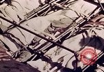 Image of Battle of Tarawa Tarawa Gilbert Islands, 1943, second 24 stock footage video 65675072667
