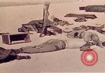 Image of Battle of Tarawa Tarawa Gilbert Islands, 1943, second 31 stock footage video 65675072667