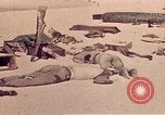Image of Battle of Tarawa Tarawa Gilbert Islands, 1943, second 33 stock footage video 65675072667