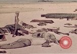 Image of Battle of Tarawa Tarawa Gilbert Islands, 1943, second 35 stock footage video 65675072667