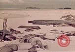 Image of Battle of Tarawa Tarawa Gilbert Islands, 1943, second 37 stock footage video 65675072667