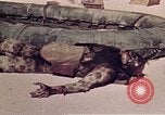 Image of Battle of Tarawa Tarawa Gilbert Islands, 1943, second 41 stock footage video 65675072667