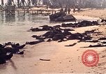 Image of Battle of Tarawa Tarawa Gilbert Islands, 1943, second 47 stock footage video 65675072667
