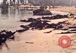 Image of Battle of Tarawa Tarawa Gilbert Islands, 1943, second 48 stock footage video 65675072667