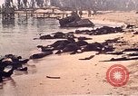 Image of Battle of Tarawa Tarawa Gilbert Islands, 1943, second 49 stock footage video 65675072667
