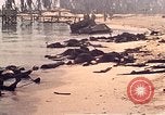 Image of Battle of Tarawa Tarawa Gilbert Islands, 1943, second 50 stock footage video 65675072667