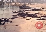 Image of Battle of Tarawa Tarawa Gilbert Islands, 1943, second 51 stock footage video 65675072667