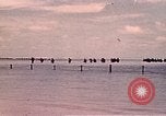 Image Bataille de Tarawa Tarawa Îles Gilbert, 1943, de la seconde 3 séquences d'archives historiques vidéo 65675072671