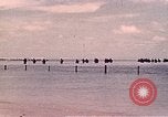 Image Bataille de Tarawa Tarawa Îles Gilbert, 1943, de la seconde 4 séquences d'archives historiques vidéo 65675072671