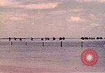 Image Bataille de Tarawa Tarawa Îles Gilbert, 1943, de la seconde 5 séquences d'archives historiques vidéo 65675072671