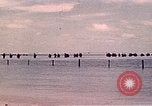 Image Bataille de Tarawa Tarawa Îles Gilbert, 1943, de la seconde 6 séquences d'archives historiques vidéo 65675072671
