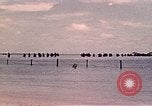 Image Bataille de Tarawa Tarawa Îles Gilbert, 1943, de la seconde 8 séquences d'archives historiques vidéo 65675072671