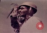 Image Bataille de Tarawa Tarawa Îles Gilbert, 1943, de la seconde 47 séquences d'archives historiques vidéo 65675072671