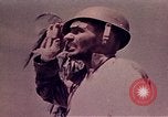 Image Bataille de Tarawa Tarawa Îles Gilbert, 1943, de la seconde 49 séquences d'archives historiques vidéo 65675072671