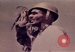 Image Bataille de Tarawa Tarawa Îles Gilbert, 1943, de la seconde 51 séquences d'archives historiques vidéo 65675072671