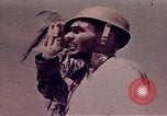 Image Bataille de Tarawa Tarawa Îles Gilbert, 1943, de la seconde 56 séquences d'archives historiques vidéo 65675072671