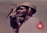 Image Bataille de Tarawa Tarawa Îles Gilbert, 1943, de la seconde 57 séquences d'archives historiques vidéo 65675072671