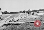 Image Reinhold Tilling Allemagne, 1930, de la seconde 41 séquences d'archives historiques vidéo 65675072677