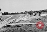 Image Reinhold Tilling Allemagne, 1930, de la seconde 43 séquences d'archives historiques vidéo 65675072677