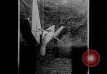 Image of Reinhold Tilling Germany, 1933, second 8 stock footage video 65675072679