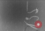 Image of Reinhard Tilling Germany, 1931, second 1 stock footage video 65675072680