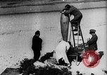Image of Reinhard Tilling Germany, 1931, second 9 stock footage video 65675072680