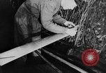 Image of Reinhold Tilling Germany, 1931, second 29 stock footage video 65675072682