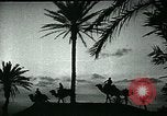Image of Camels in Muslim lands of  Eurasia and Africa Middle East, 1936, second 42 stock footage video 65675072698