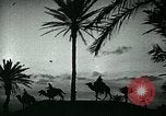 Image of Camels in Muslim lands of  Eurasia and Africa Middle East, 1936, second 43 stock footage video 65675072698