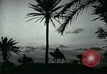 Image of Camels in Muslim lands of  Eurasia and Africa Middle East, 1936, second 44 stock footage video 65675072698