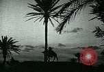 Image of Camels in Muslim lands of  Eurasia and Africa Middle East, 1936, second 45 stock footage video 65675072698