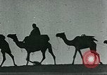 Image of Camels in Muslim lands of  Eurasia and Africa Middle East, 1936, second 59 stock footage video 65675072698