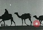 Image of Camels in Muslim lands of  Eurasia and Africa Middle East, 1936, second 60 stock footage video 65675072698