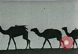 Image of Camels in Muslim lands of  Eurasia and Africa Middle East, 1936, second 62 stock footage video 65675072698