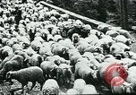 Image of Nomadic life in Arabia Middle East, 1936, second 12 stock footage video 65675072699