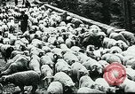 Image of Nomadic life in Arabia Middle East, 1936, second 14 stock footage video 65675072699