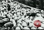 Image of Nomadic life in Arabia Middle East, 1936, second 15 stock footage video 65675072699
